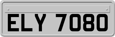 ELY7080