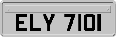 ELY7101