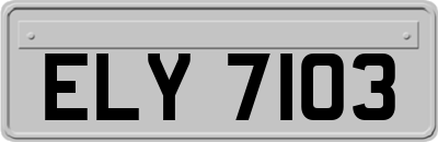 ELY7103