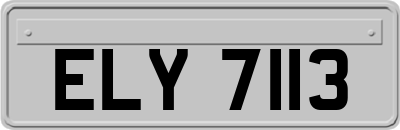 ELY7113