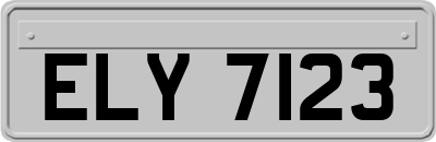ELY7123