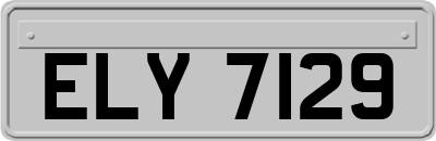 ELY7129