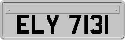 ELY7131