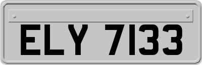 ELY7133