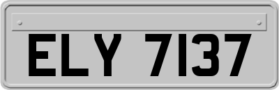 ELY7137