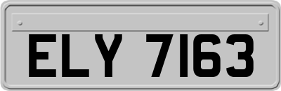 ELY7163