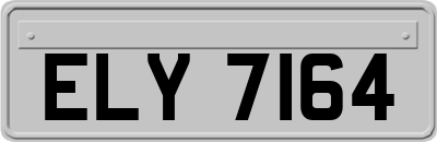 ELY7164