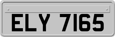 ELY7165