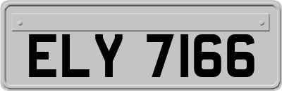 ELY7166