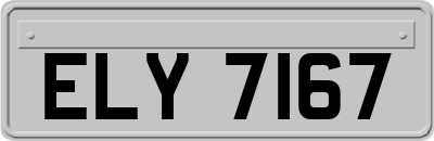 ELY7167