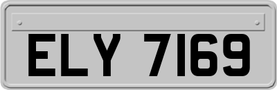 ELY7169
