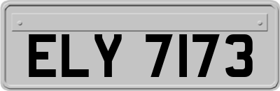 ELY7173