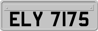ELY7175