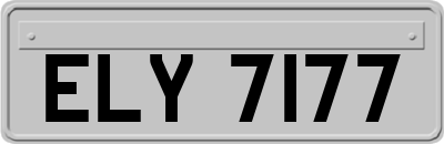 ELY7177