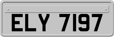 ELY7197