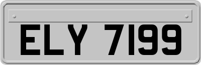 ELY7199