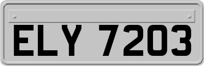 ELY7203