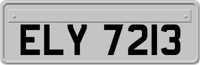 ELY7213