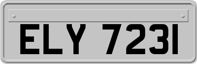 ELY7231