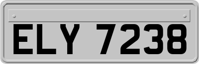 ELY7238