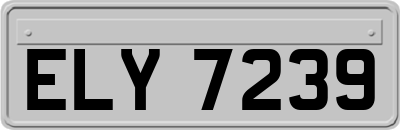 ELY7239