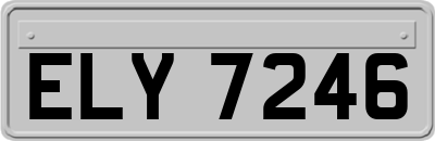 ELY7246