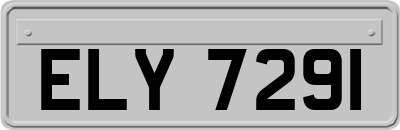 ELY7291