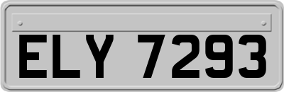 ELY7293