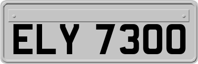 ELY7300