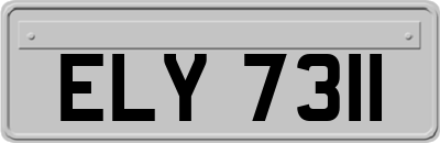 ELY7311