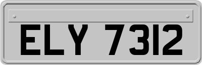 ELY7312