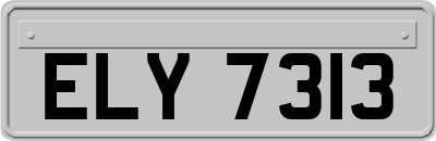 ELY7313