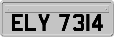 ELY7314