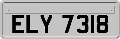 ELY7318