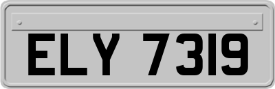 ELY7319