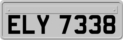 ELY7338