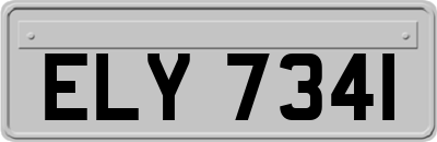 ELY7341