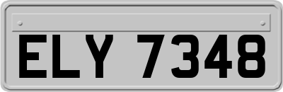 ELY7348