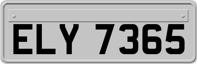 ELY7365