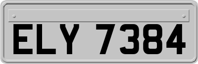 ELY7384