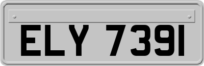 ELY7391