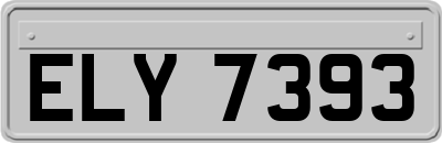 ELY7393