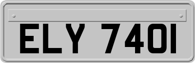 ELY7401