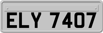 ELY7407