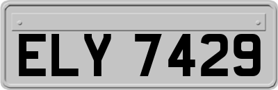 ELY7429
