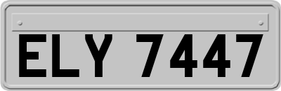 ELY7447