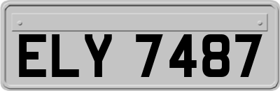 ELY7487