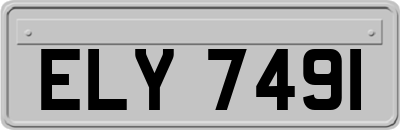 ELY7491