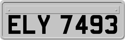 ELY7493