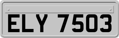 ELY7503